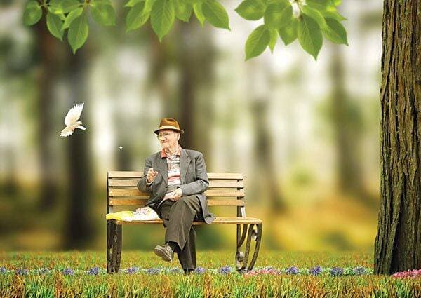 اطلاعیه سازمان تامین اجتماعی درباره نحوه اعتراض به حقوق بازنشستگان در سال ۱۴۰۵
