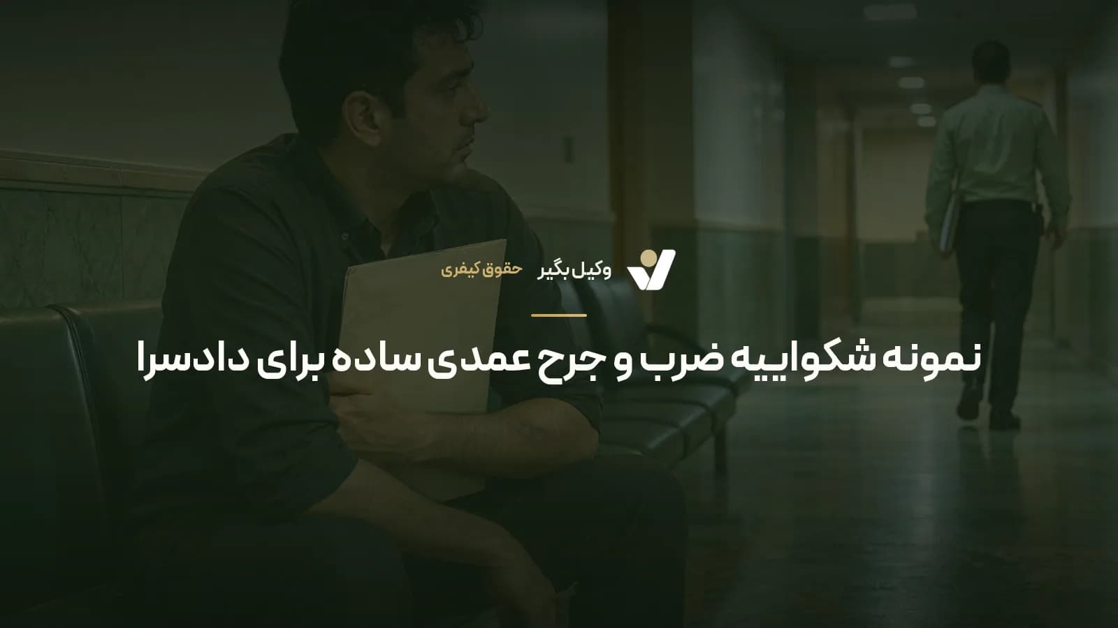 نمونه شکواییه ضرب و جرح عمدی ساده برای دادسرا